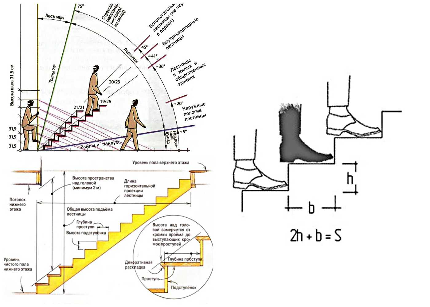 Норма ширины ступени лестницы: выбор оптимальных размеров по стандартам (фото и видео)
