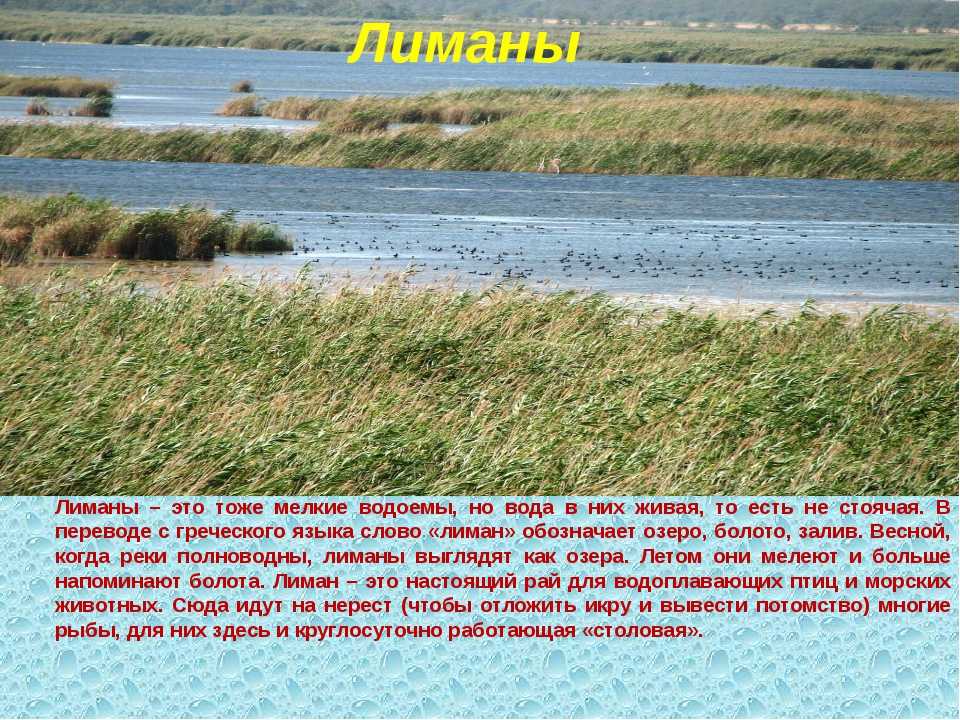 Температура воды в реке кубань. Водоемы Кубани. Информация о водоемах. Водоёмы Краснодарского края. Водоёмы Краснодарского края лиманы.