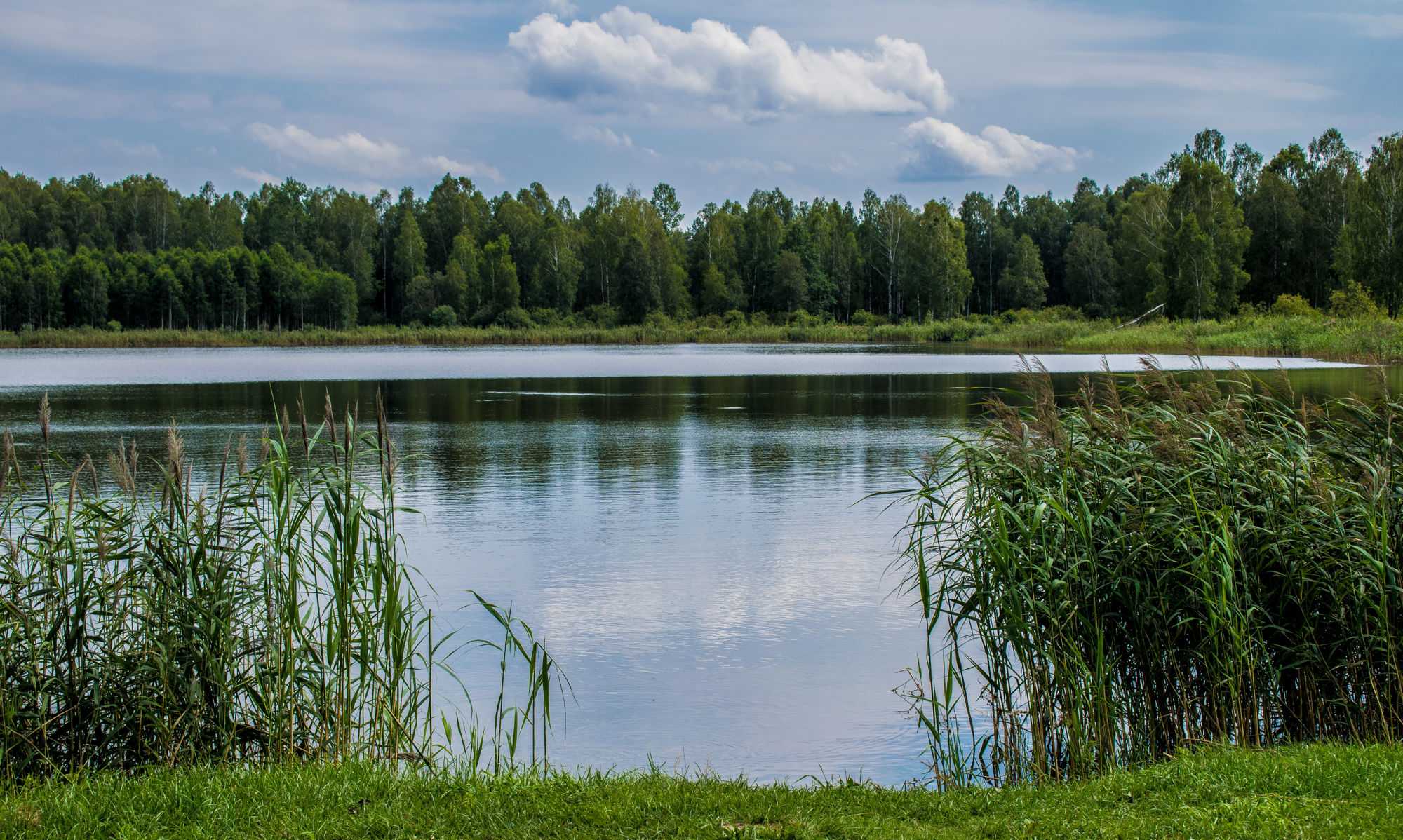 Озеро здесь шире. Мячковский карьер. Озеро Акшубень Кировской области. 100 Прудов и озер. Озеро Ижбулат.