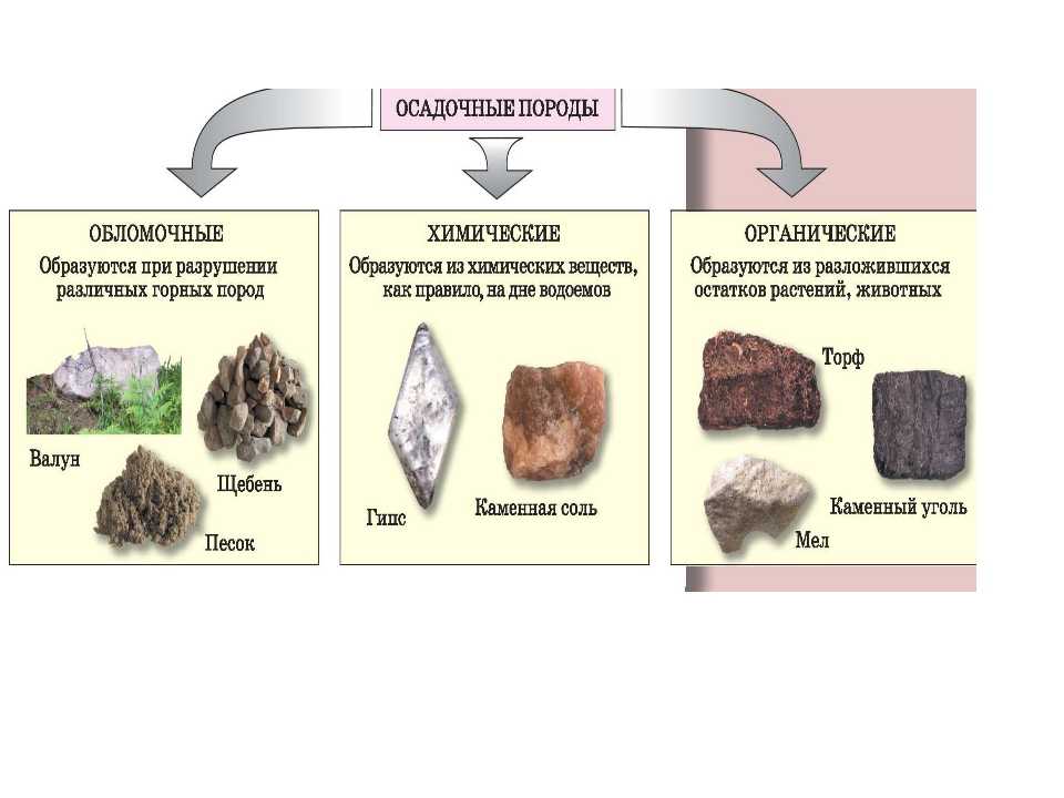 Выбери полезные ископаемые которые имеют органическое происхождение. Схема классификации осадочных горных пород. Схема классификации горных пород и минералов 6 класс. Схема горные породы и минералы 5 класс. Осадочные горные породы схема.