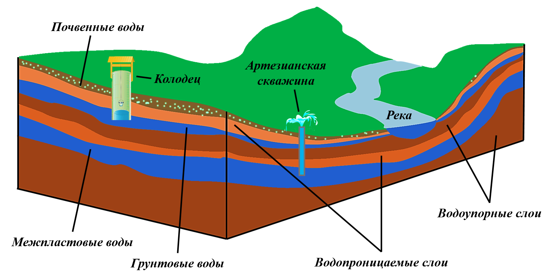 Как определить уровень грунтовых вод на участке